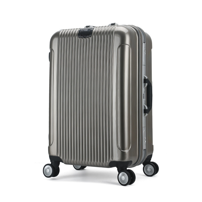Silver 28 inch Luggage